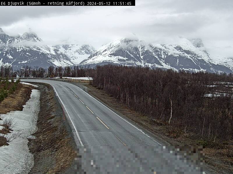 Webcam Dalbakken, Kåfjord, Troms, Norwegen