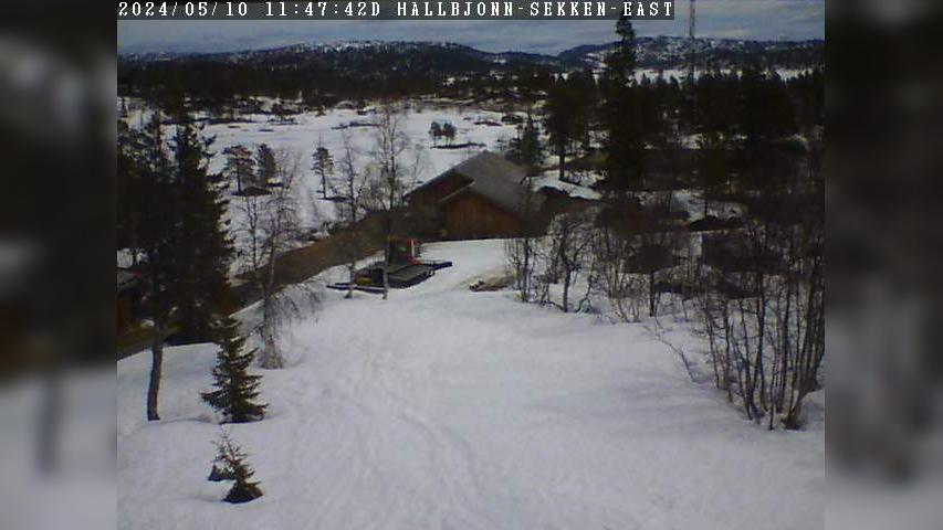 Webcam Hallbjønn høyfjellsenter, Tokke, Telemark, Norwegen