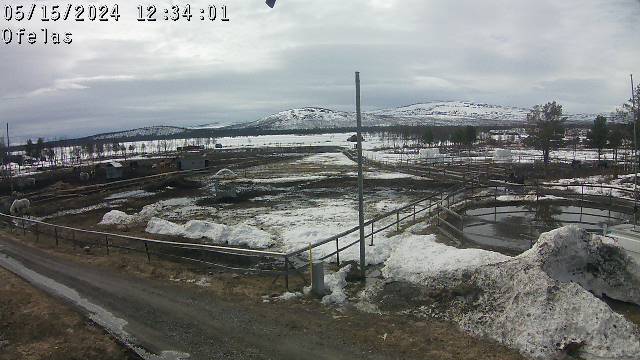Webcam Puoltsa, Kiruna, Lappland, Schweden