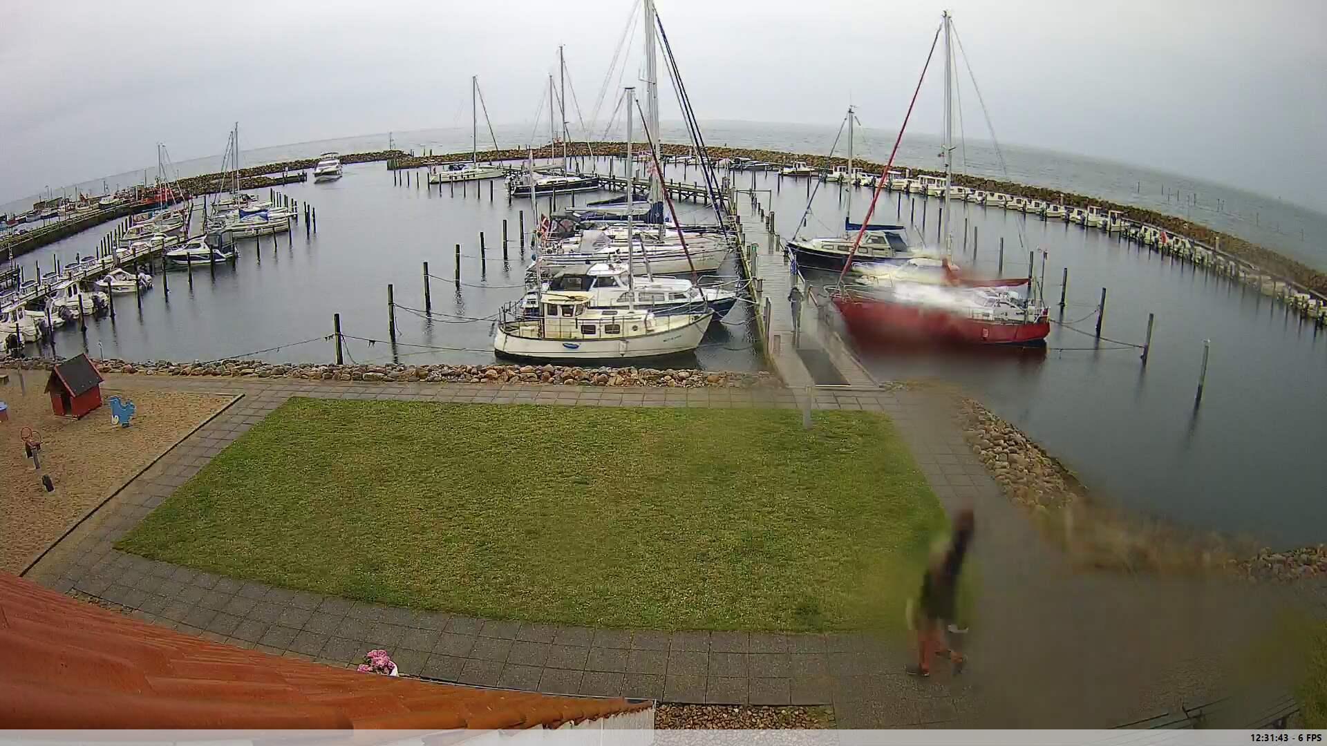 Webcam Spodsbjerg, Langeland, Syddanmark, Dänemark