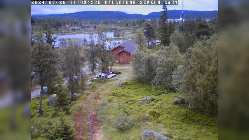 Webcam Hallbjønn høyfjellsenter, Tokke, Telemark, Norwegen