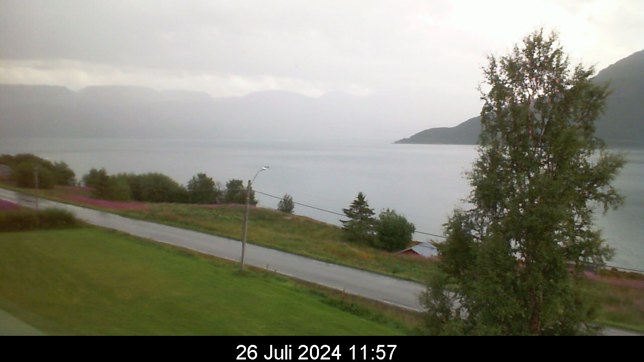 Webcam Rasteby, Storfjord, Troms, Norwegen