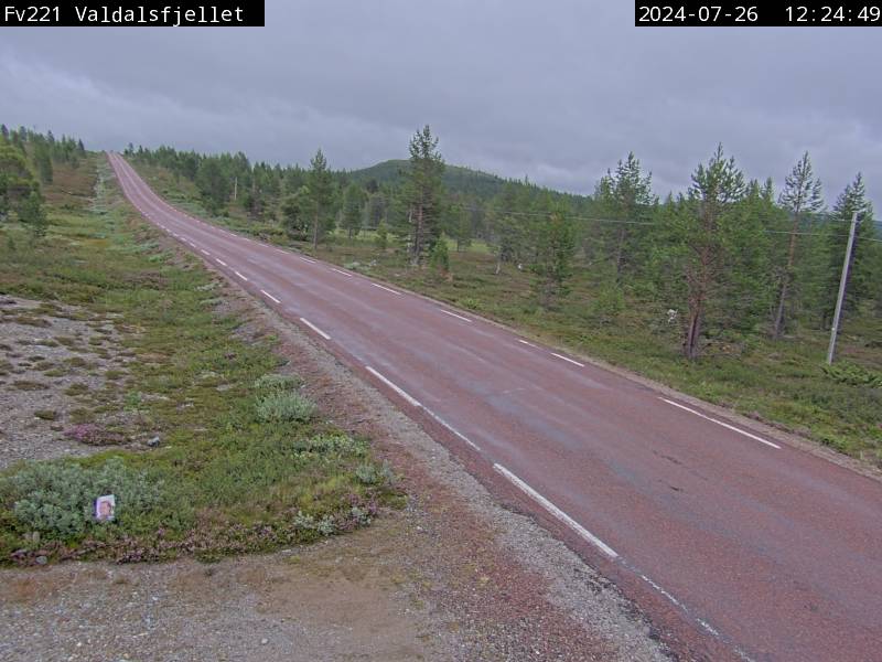 Webcam Rismyra, Engerdal, Hedmark, Norwegen